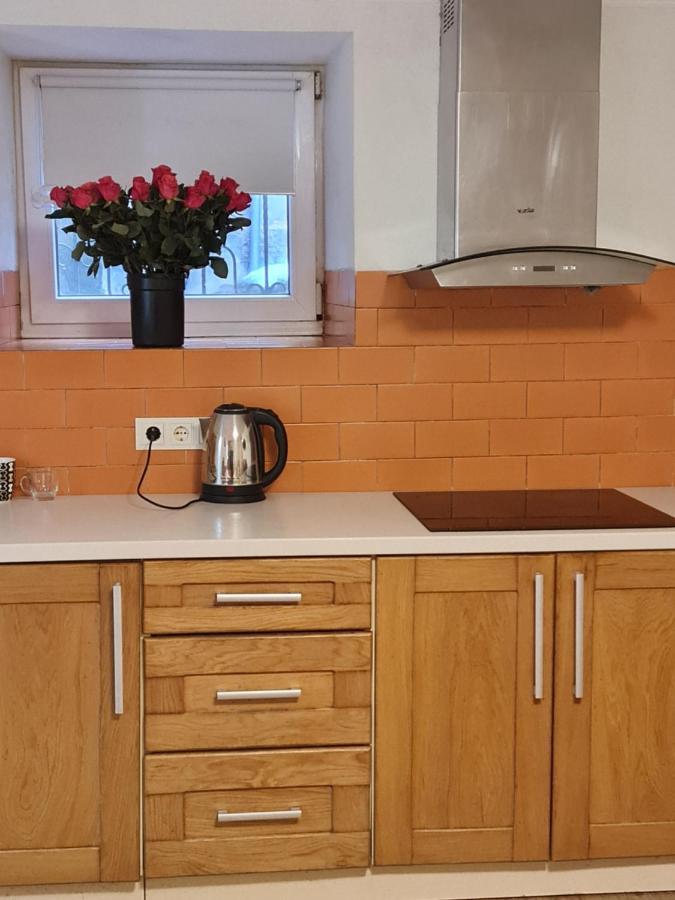 Студіо На Кoновальця Apartment Лвив Екстериор снимка